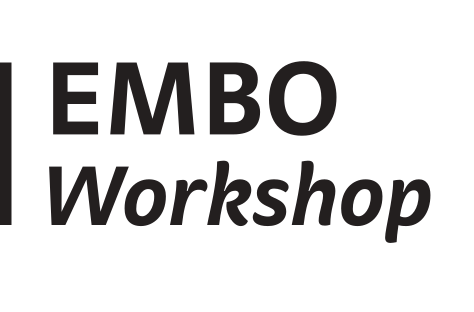 Client Logo 18