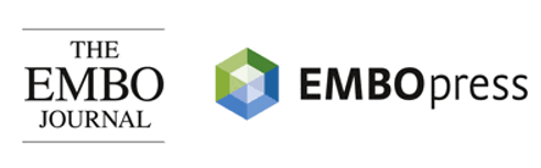 Client Logo 2